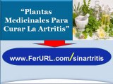 Plantas medicinales para curar la artritis reumatoide