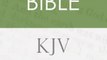 Bible Review: The Holy Bible, King James Version (KJV) with Search Every Verse Navigation by God, King James Version