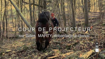 Gilles Marty - Débardage à Cheval
