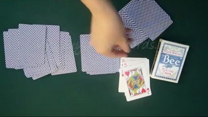 plast spelkort--Bee(blue)--poker fuska