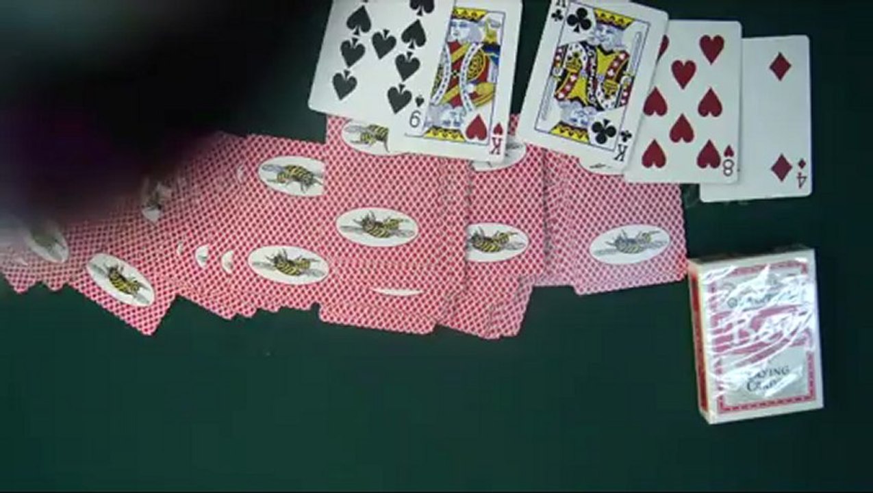 plast spelkort--Bee(With Picture)1--poker fuska