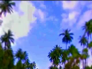 Kur-an-ı Kerim Türkçe Meali 086tarik Süresi