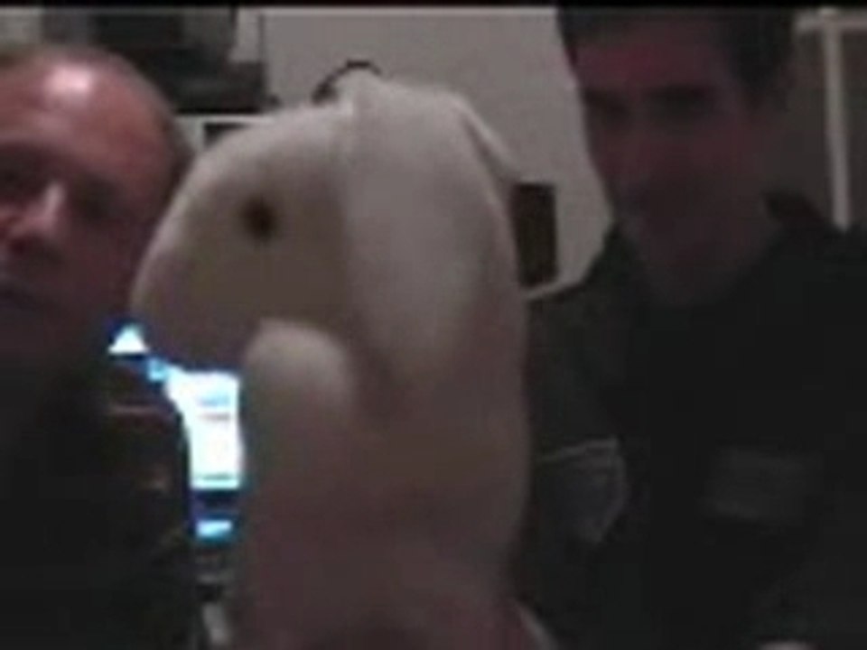 leçcon de lapinou 7