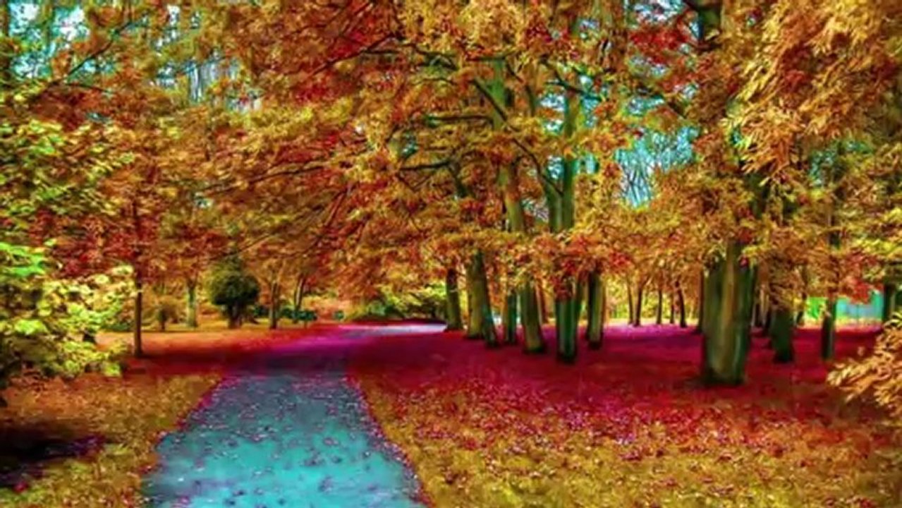 YENİNUR ADA- TURNAM SELAM SÖYLE YARE