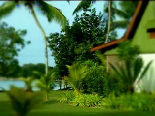 Kur-an-ı Kerim Türkçe Meali 098beyyine Süresi