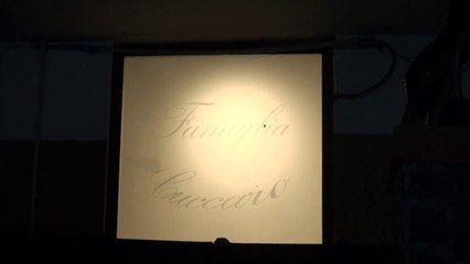 Torre del Greco (NA) - Arresti clan Aprea-Cuccaro-Alberto 4 (21.02.13)