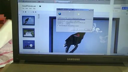 How to save / download the file uploaded on google drive