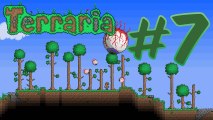 Gringo joue à : Terraria [Épisode 7 - Jungle souterraine]
