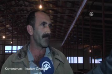 Mandıra uğruna evini sattı