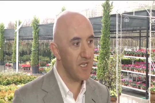 İstanbul'da lale devri