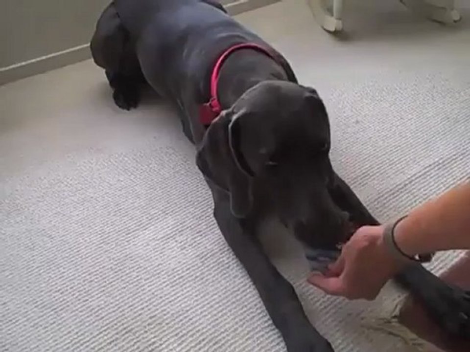 생방송카지노⇚	⇛ B­A­C­6­6­6­.ＣＯＭ⇚	⇛생방송카지노