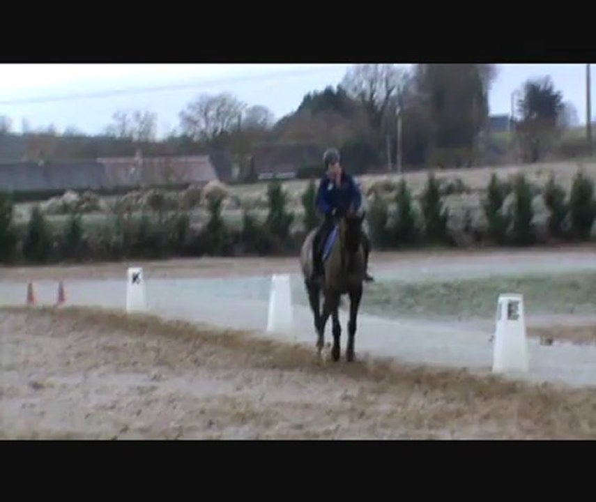 St Mars dressage Carine