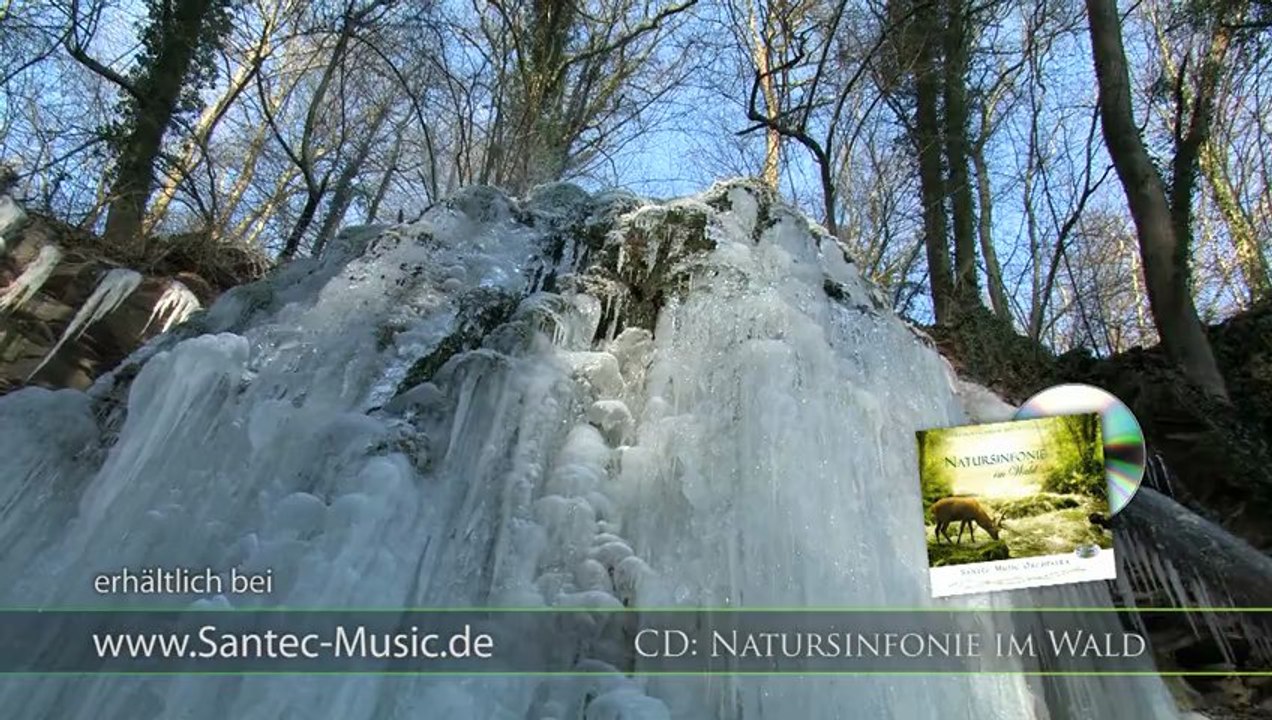 Eiswelt im Wald 'Natursymphonie' - Entspannende Musik von Santec Music