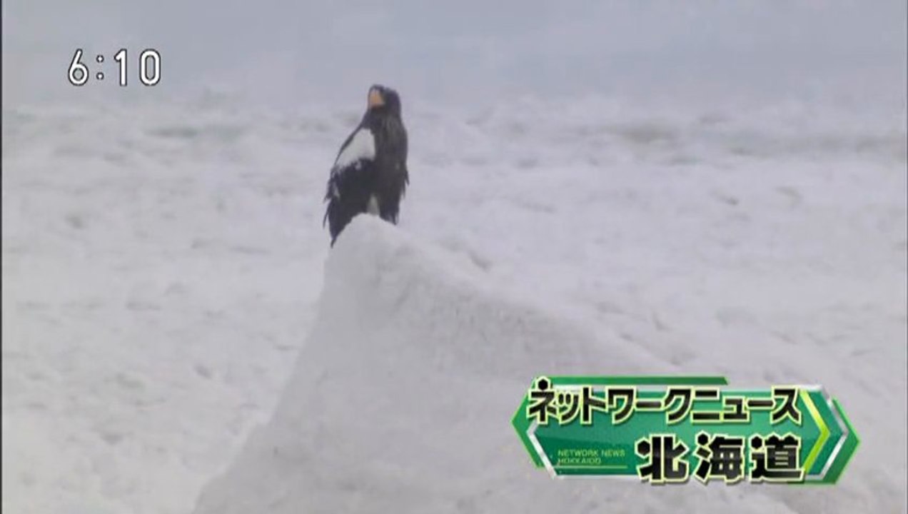 20130222 02