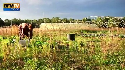 L’agriculture bio ne connaît pas la crise - 22/02