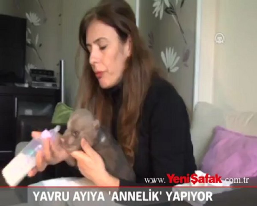 Yavru ayıya 'annelik' yapıyor