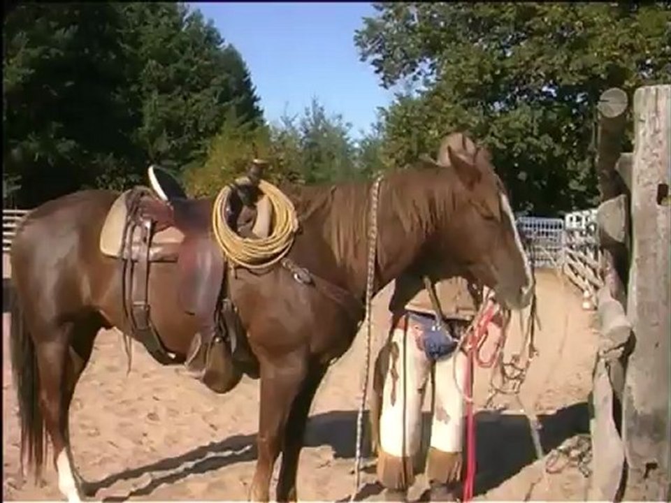 Cheval de Ranch - 1°Ranch Trail