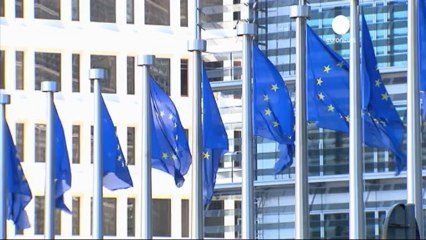 No respite for eurozone economy this year