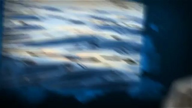 American Leak Detection - (843) 873-9790