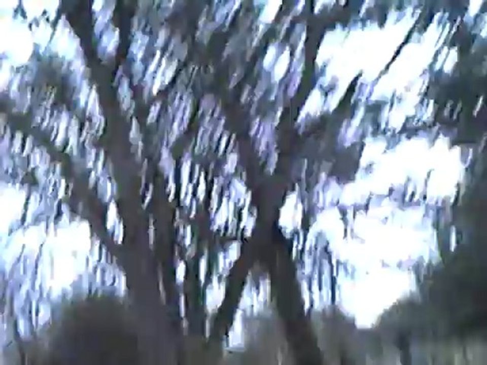 CLIP0527