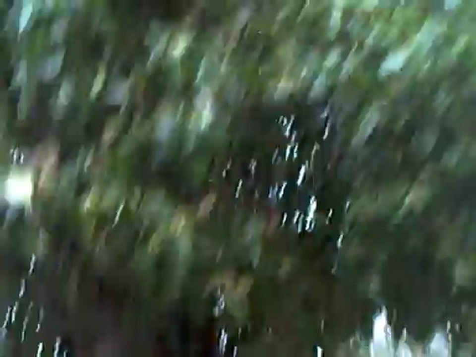 CLIP0526