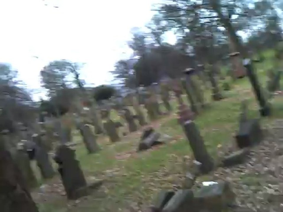 CLIP0525
