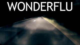 Wonderflu - No End In Sight (teaser release)