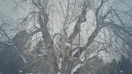 Half Moon Run - Full Circle