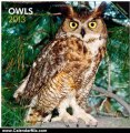 Calendar Review: Owls 2013 Square 12X12 Wall Calendar (Multilingual Edition) by BrownTrout Publishers