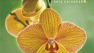 Calendar Review: 2012 Orchids 12X12 Wall calendar by Perfect Timing - Avalanche