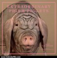 Calendar Review: Extraordinary Pigs 2013 Wall Calendar by Stephen Green-Armytage