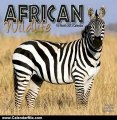 Calendar Review: African Wildlife 2013 Wall Calendar #30100-13 by Avonside