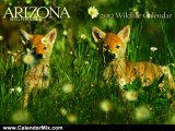 Calendar Review: Arizona Highways 2012 Wildlife Calendar by Arizona Highways Magazine