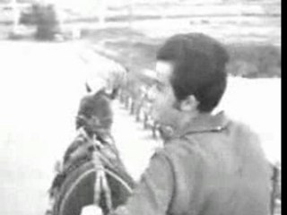 Dick Rivers - Ne lui dis rien