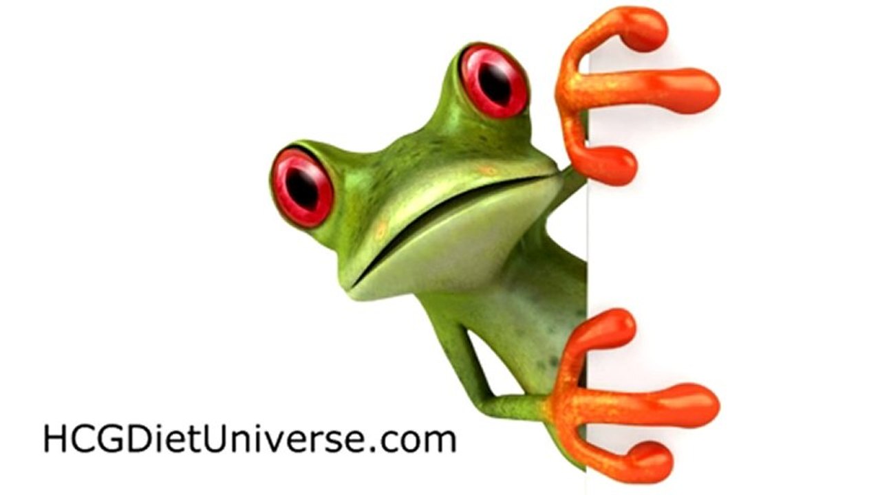 Funniest Commercial of 2013 | Talking Frog Weight Loss Advice