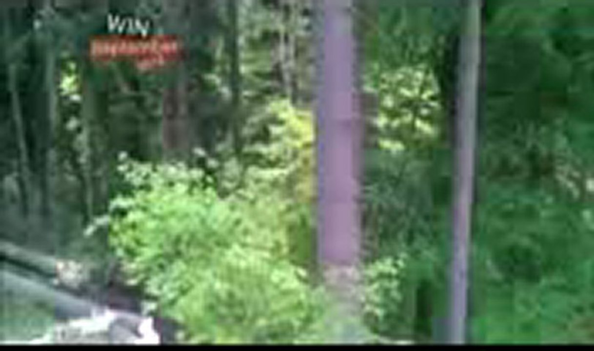 월드카지노 ♥♥♥♥♥♥♥♥♥ Q­c­h­1­3­8­.­c­o­m ❦☚ 월드카지노