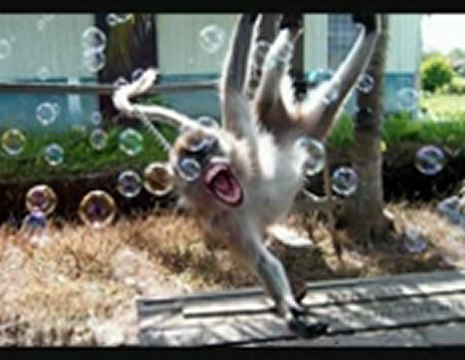 월드카지노 ♥♥♥♥♥♥♥♥♥ Q­c­h­1­3­8­.­c­o­m ♥♥♥♥♥♥♥♥♥ 와와카지노