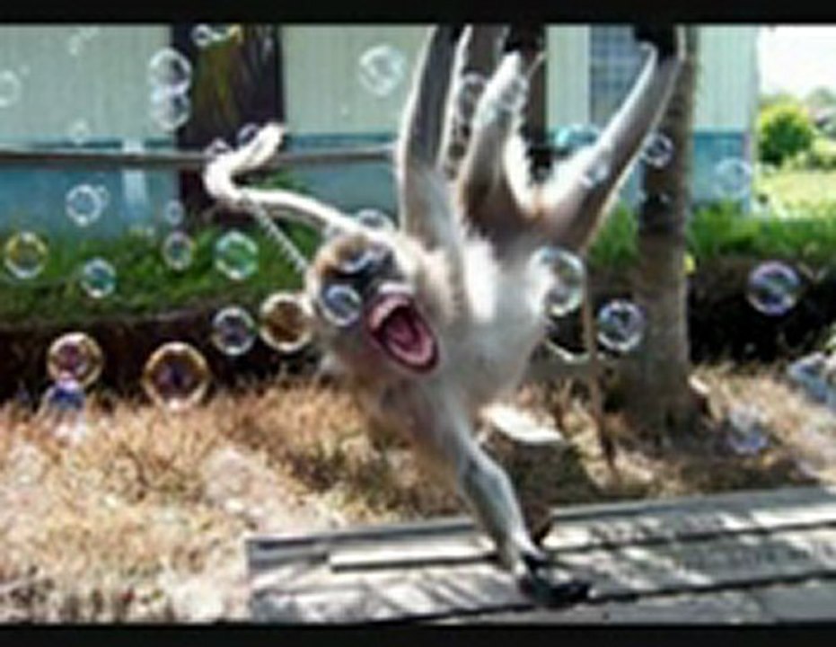 월드카지노 ♥♥♥♥♥♥♥♥♥ Q­c­h­1­3­8­.­c­o­m ♥♥♥♥♥♥♥♥♥ 와와카지노