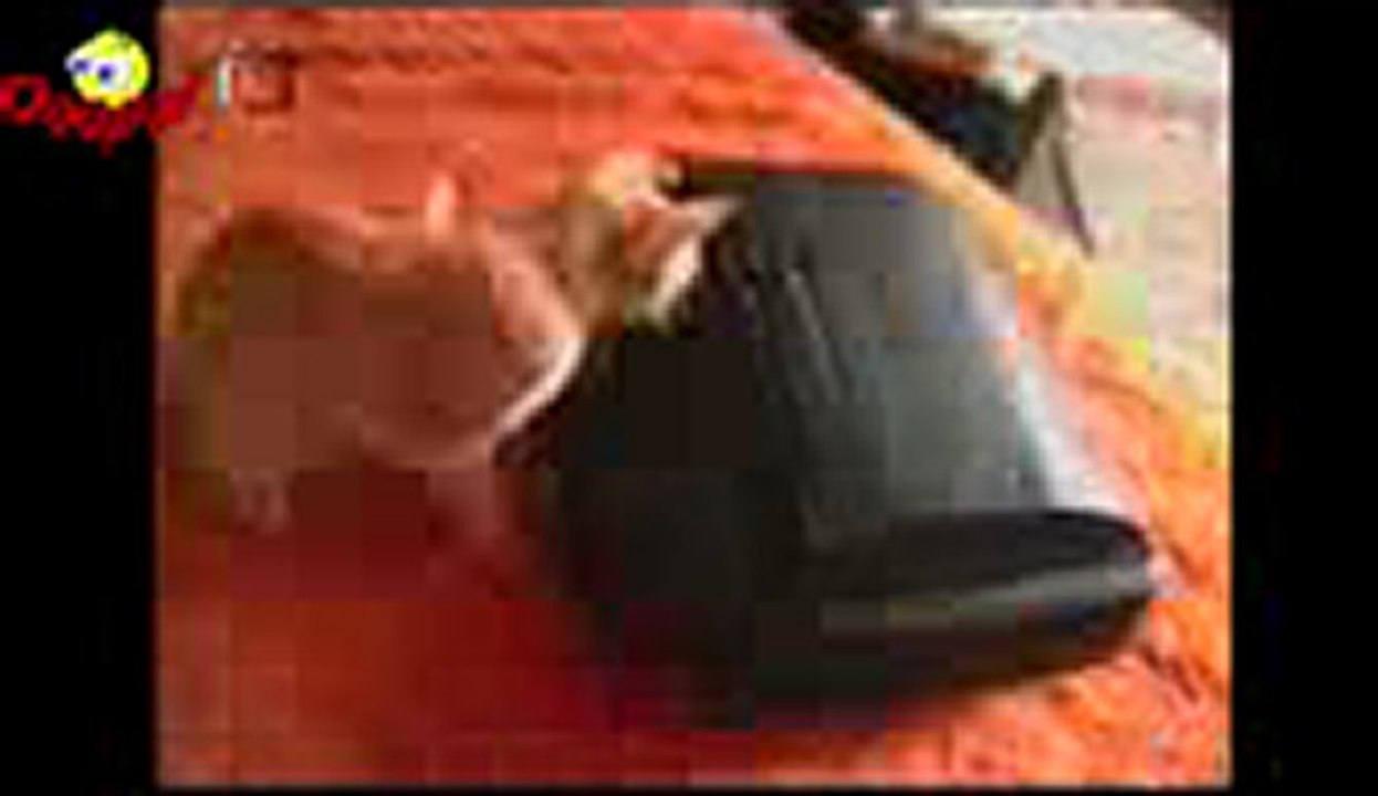 월드카지노 ♥♥♥♥♥♥♥♥♥ Q­c­h­1­3­8­.­c­o­m ♥♥♥♥♥♥♥♥♥ 태양성카지노