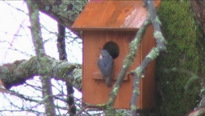 Aidons la nature - Ayudemos la naturaleza
