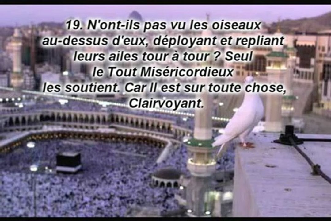 sourat 067 Al Mulk (La Royauté) -  Ibrahim Jibreen