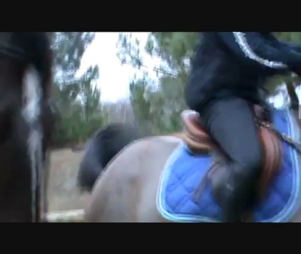 stage st mars cross dorothee