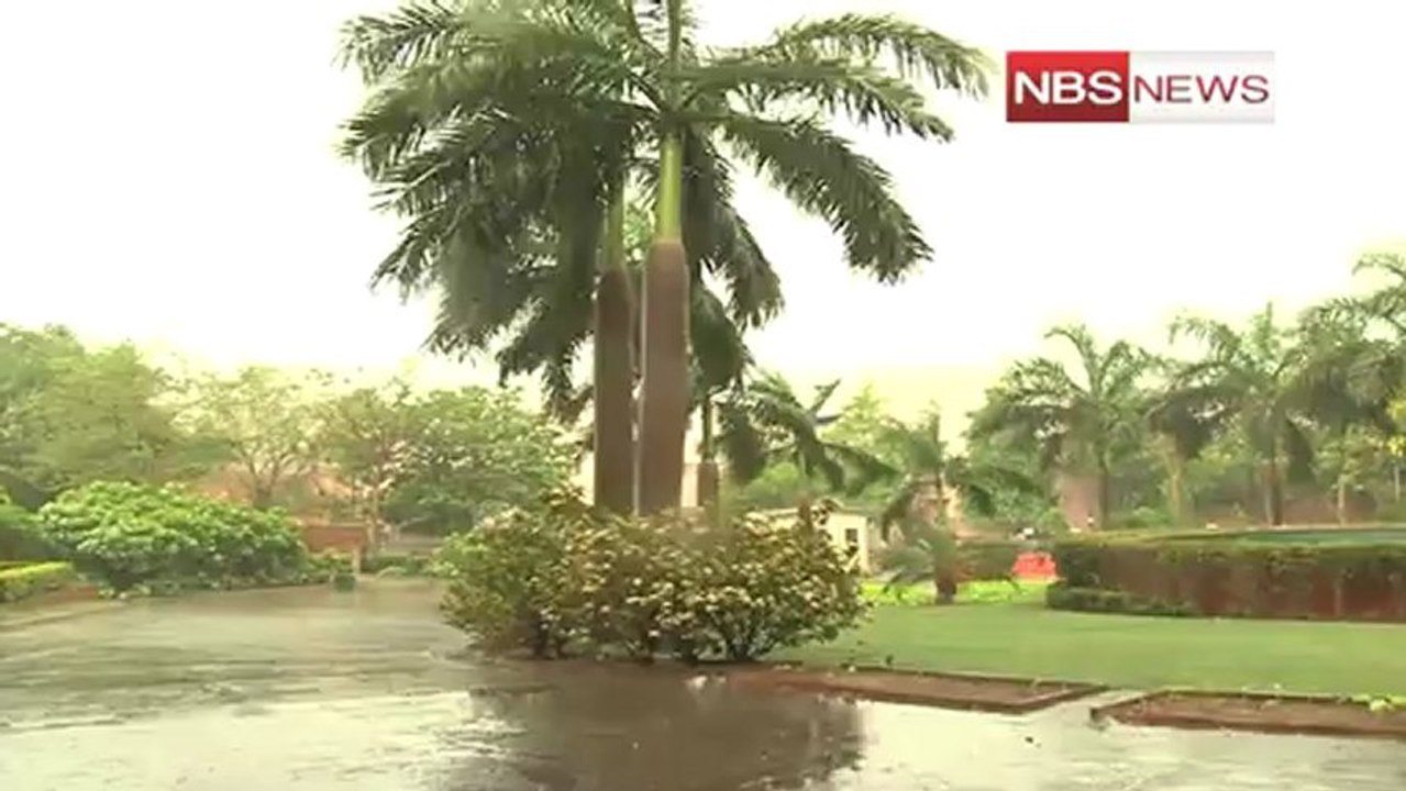 Drizzle moderates temperature in Delhi
