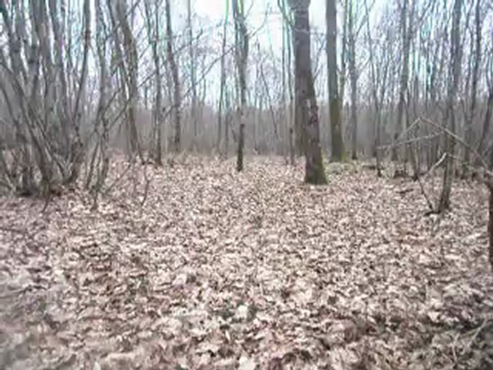 Perdu dans les bois  et les signes de retour a la civilisation