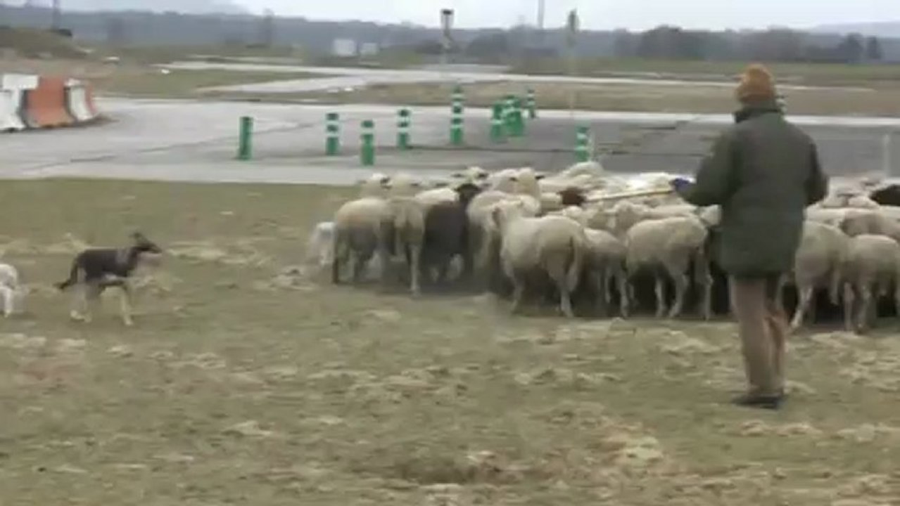 Linda à Fontaine le 22 fevr 2013 -  1ere partie
