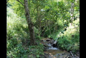 Vllezrit Qetaj - Qysh at dit qe u martova