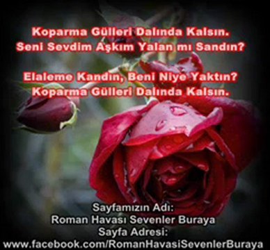 Koparma Gülleri - Roman Havası ( Anne Ben Aşık Oldum ) - YouTube