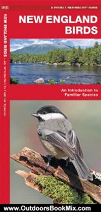 Outdoors Book Review: New England Birds: An Introduction to Familiar Species (Regional Nature Guides) by James Kavanagh