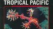 Outdoors Book Review: Reef Fish Identification - Tropical Pacific by Gerald Allen, Roger Steene, Paul Humann, Ned DeLoach