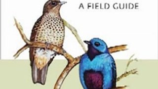 Outdoors Book Review: The Birds of Panama: A Field Guide (Zona Tropical Publications) by George R. Angehr, Robert Dean